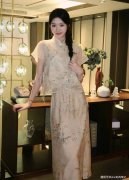 <b>立领雅致旗袍</b>